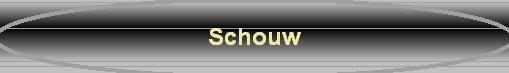 Schouw